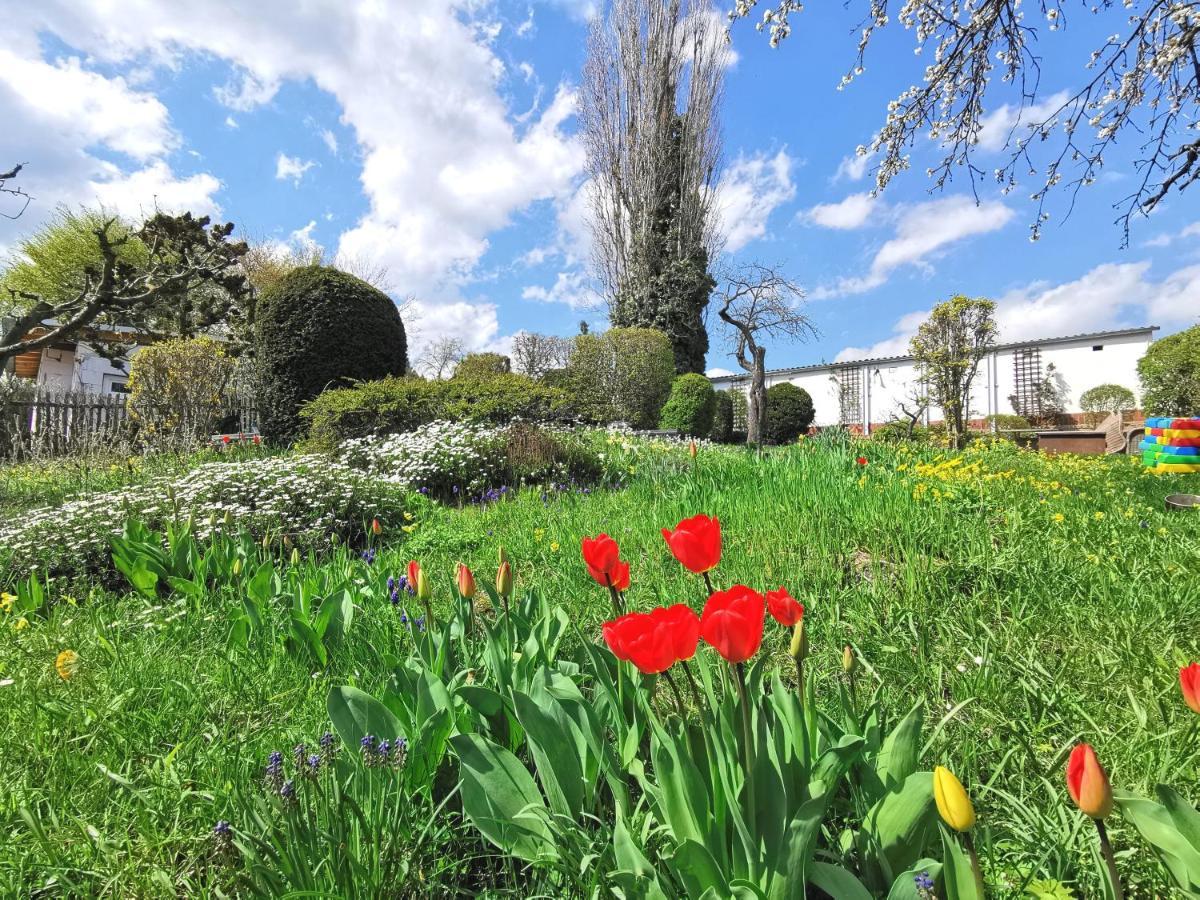 Bohnapartments Ega Stadtblick - Garten - Wlan - Naehe Theater Ega Und Messe Erfurt Exterior foto